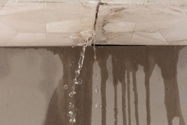 Professional Water Damage Repair technician working in Farmer, OH